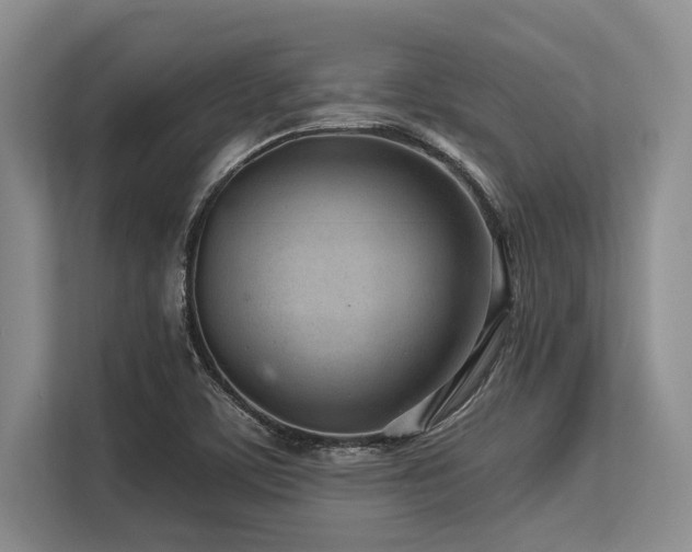 X0000113561459200909181210