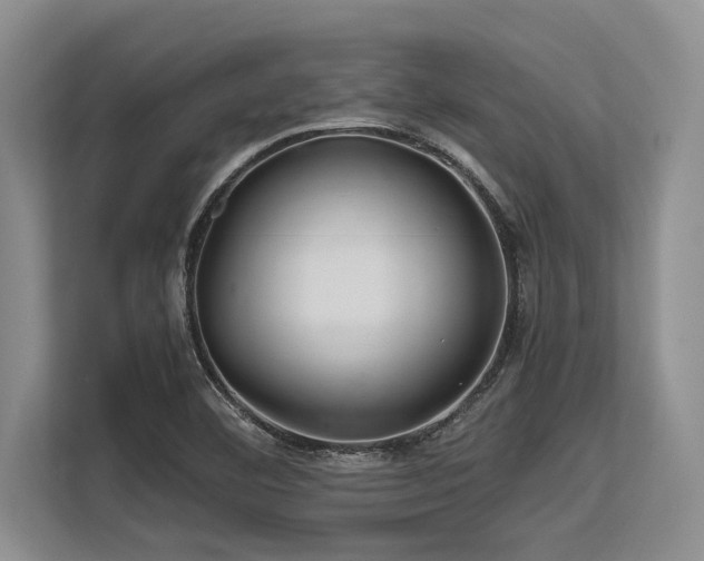 X0000113561460200909181210