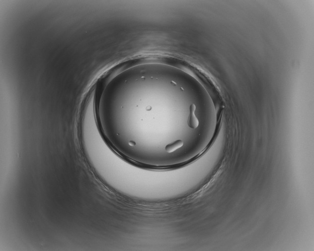 X0000113561461200909181210