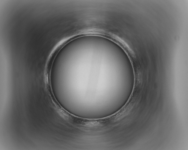 X0000113561462200909181210