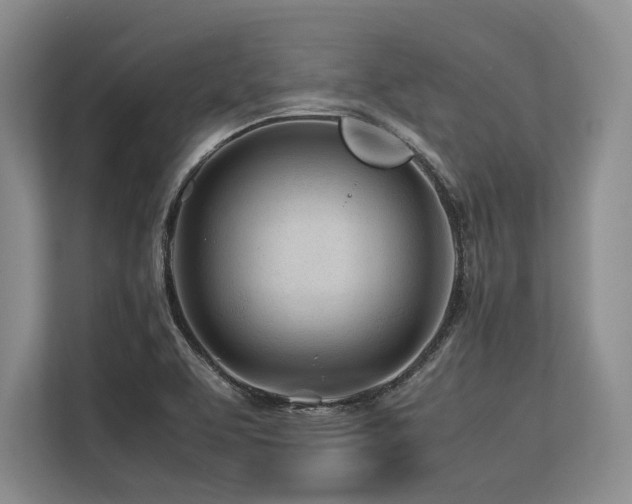 X0000113561463200909181210