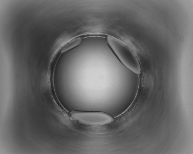 X0000113561464200909181210