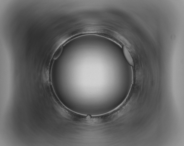 X0000113561465200909181210