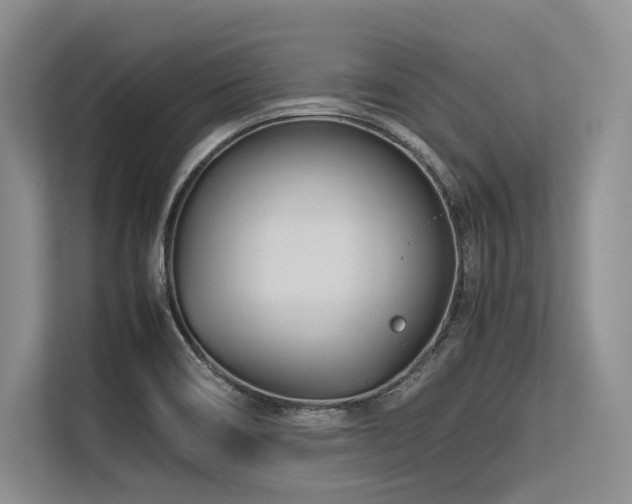 X0000113561466200909181210