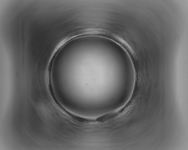 X0000113561467200909181210