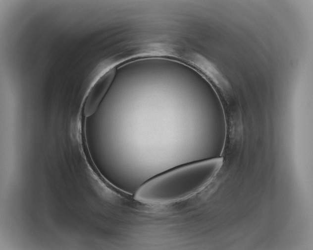 X0000113561468200909181210