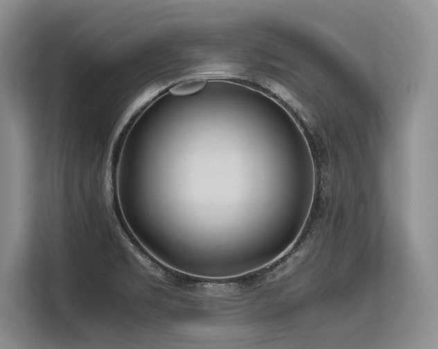 X0000113561469200909181210