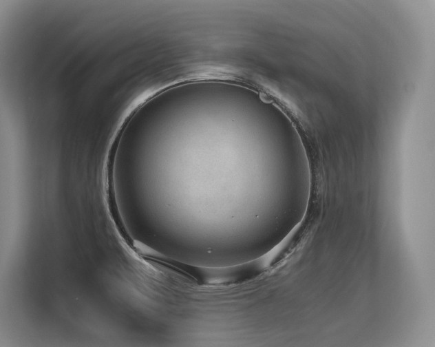 X0000113561471200909181210