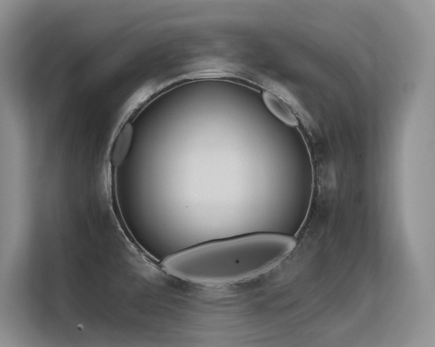 X0000113561472200909181210