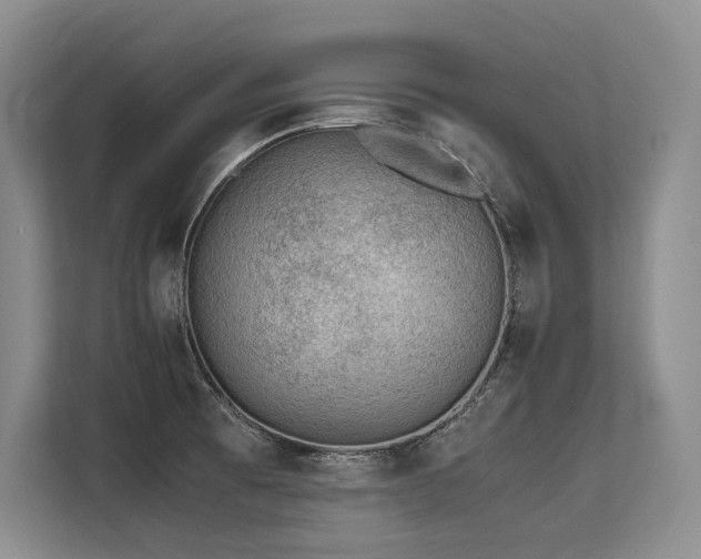 X0000113561473200909181210