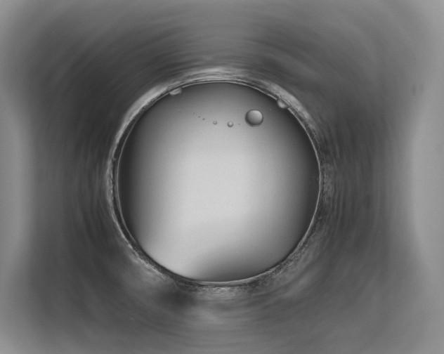 X0000113561474200909181210