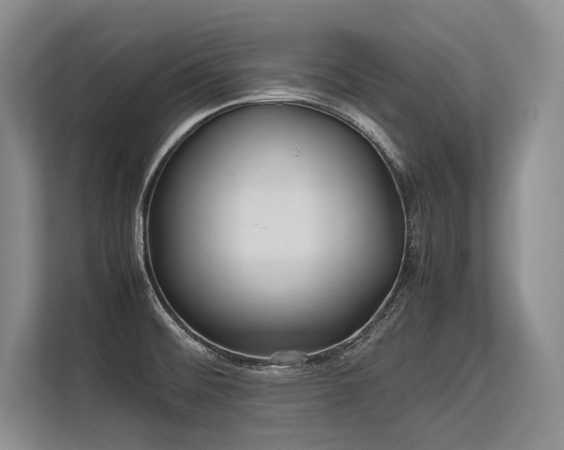 X0000113561476200909181210