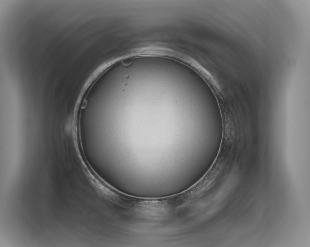 X0000113561478200909181209