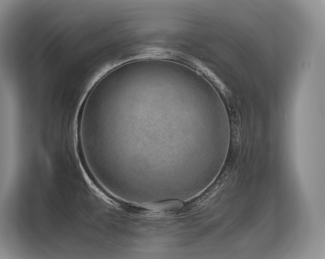 X0000113561479200909181209