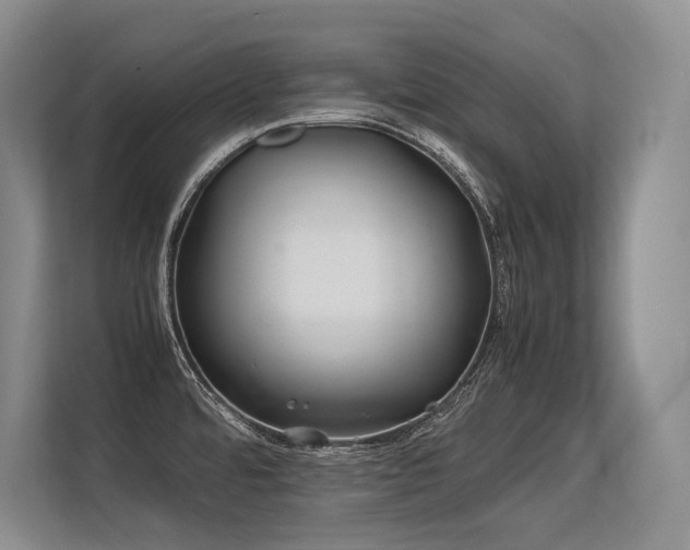 X0000113561480200909181209