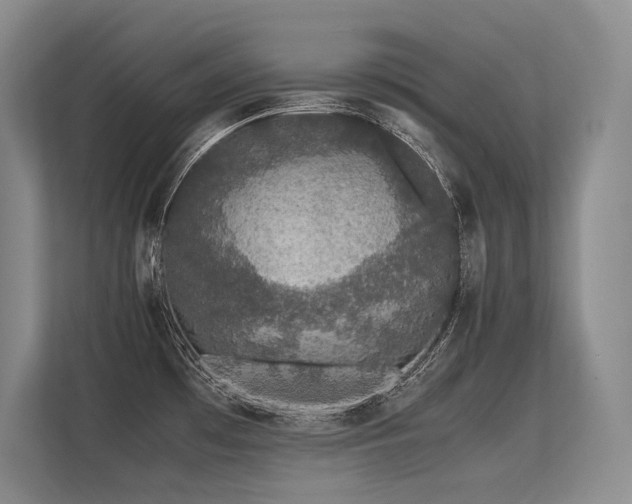X0000113561481200909181209