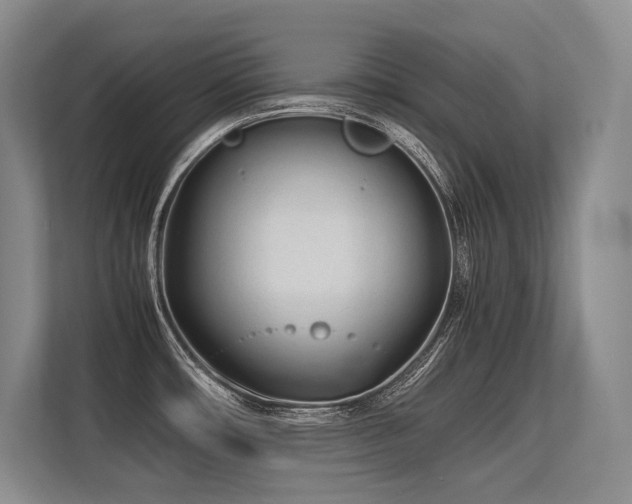 X0000113561482200909181209