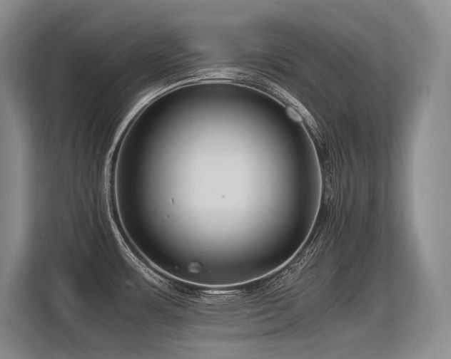 X0000113561483200909181209