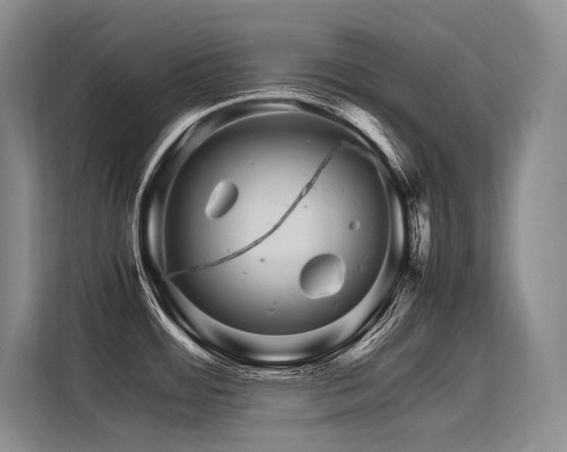 X0000113561484200909181209