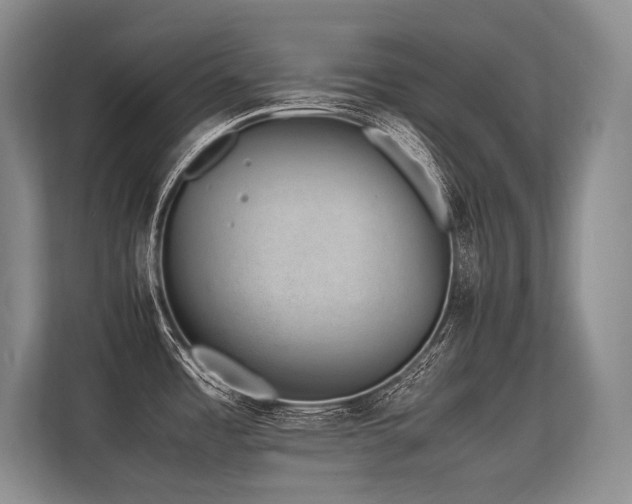 X0000113561485200909181209