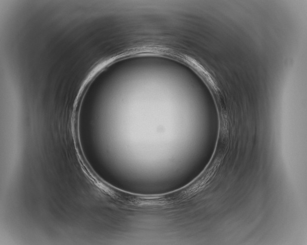 X0000113561486200909181209