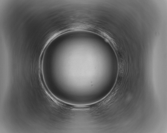 X0000113561487200909181209