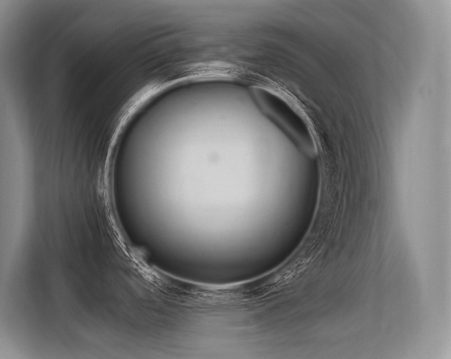 X0000113561488200909181209