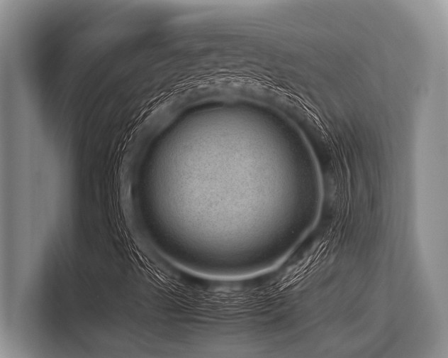 X0000113561489200909181209