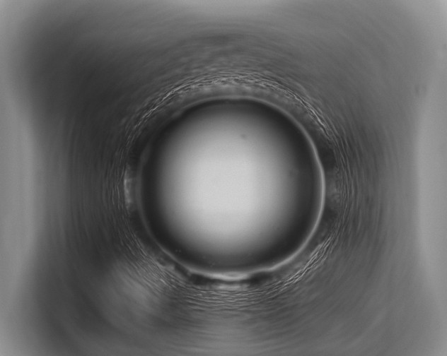 X0000113561490200909181209