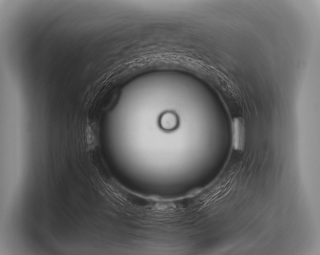 X0000113561491200909181209
