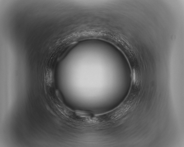 X0000113561492200909181209
