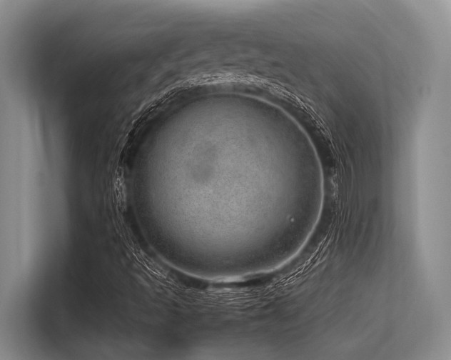 X0000113561493200909181209