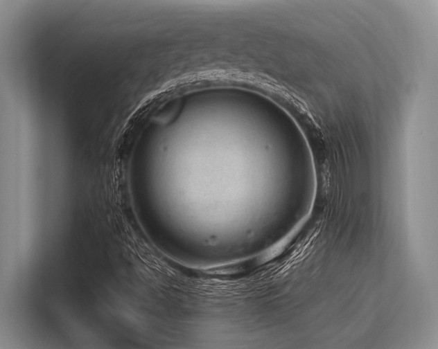 X0000113561494200909181209
