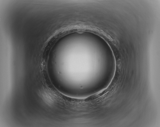 X0000113561495200909181209