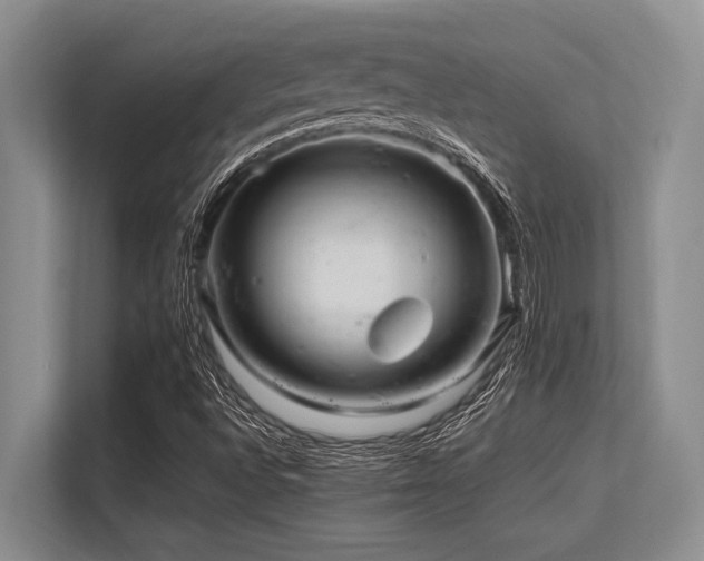 X0000113561496200909181209
