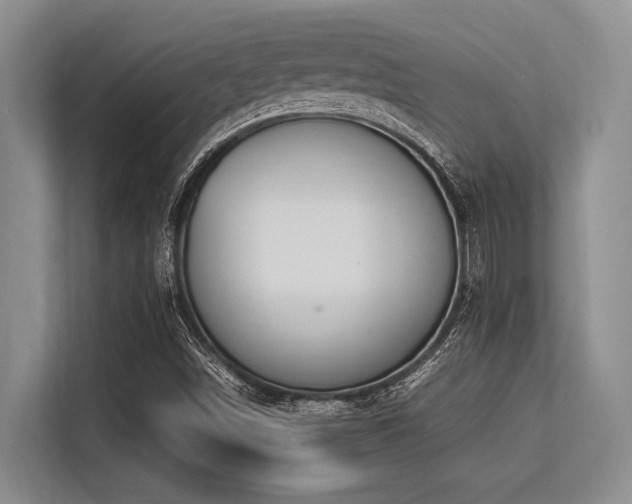 X0000113561498200909181209