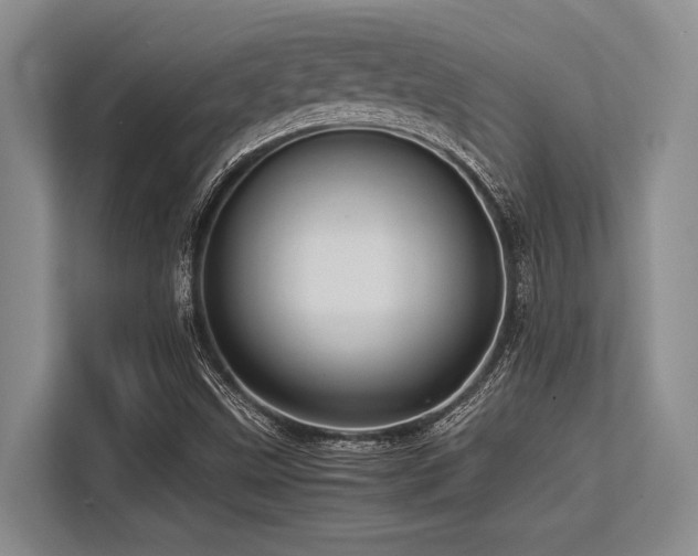 X0000113561499200909181209