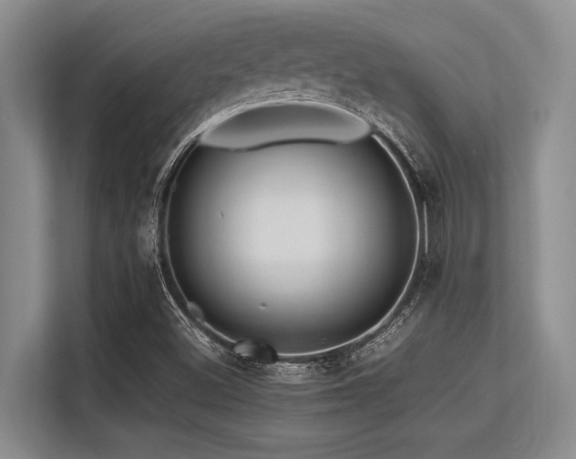 X0000113561500200909181209