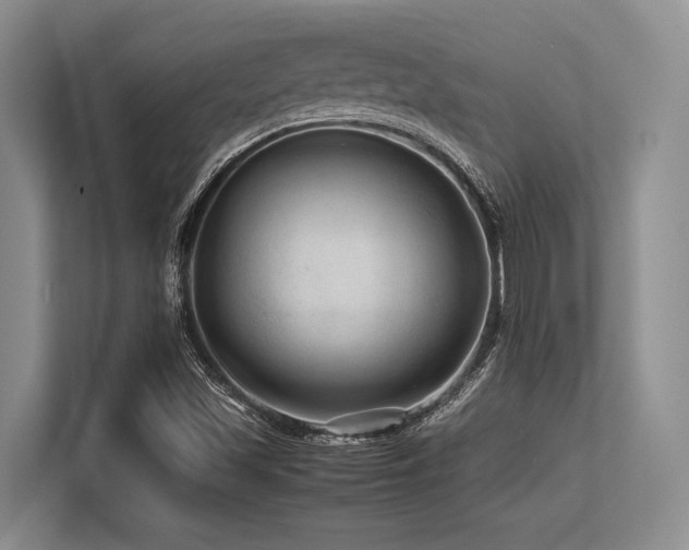 X0000113561501200909181209