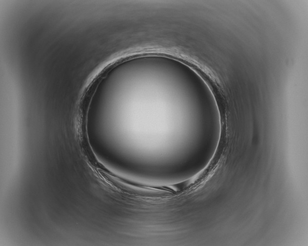 X0000113561502200909181209