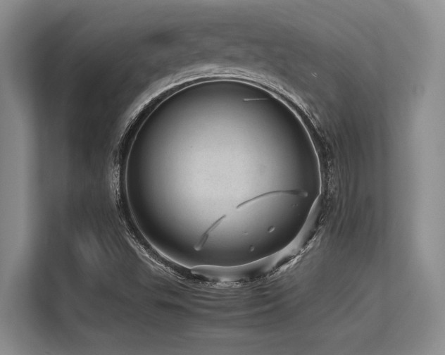 X0000113561503200909181209