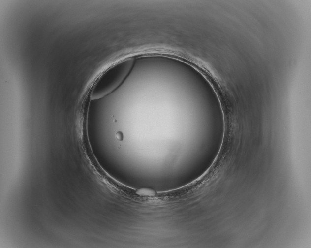 X0000113561504200909181209