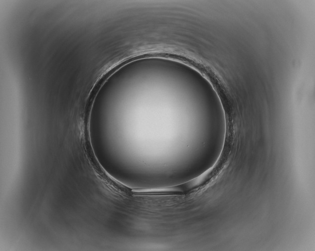 X0000113561505200909181209