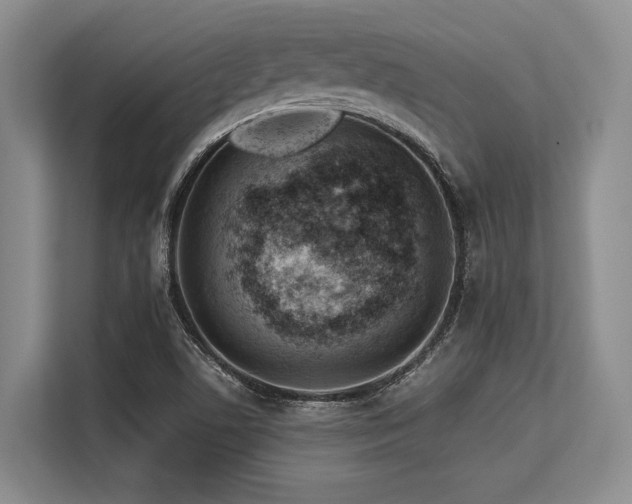 X0000113561506200909181209