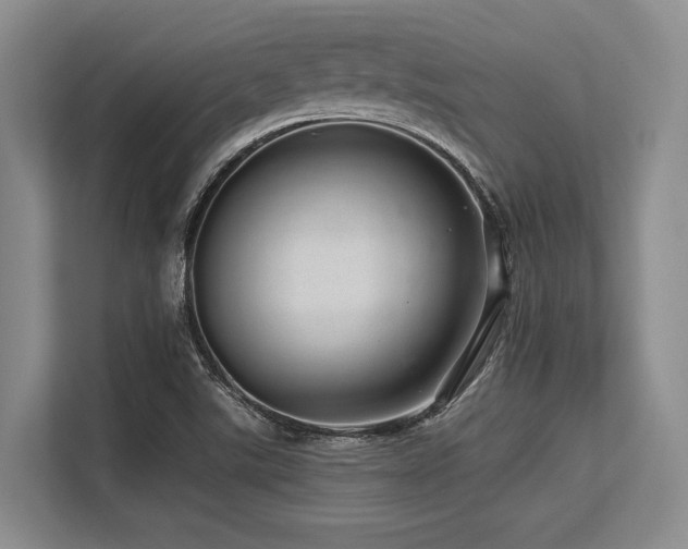 X0000113561507200909181209