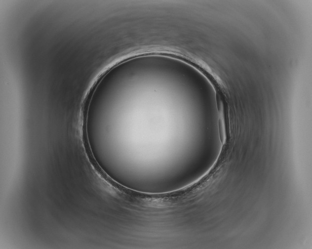 X0000113561508200909181209