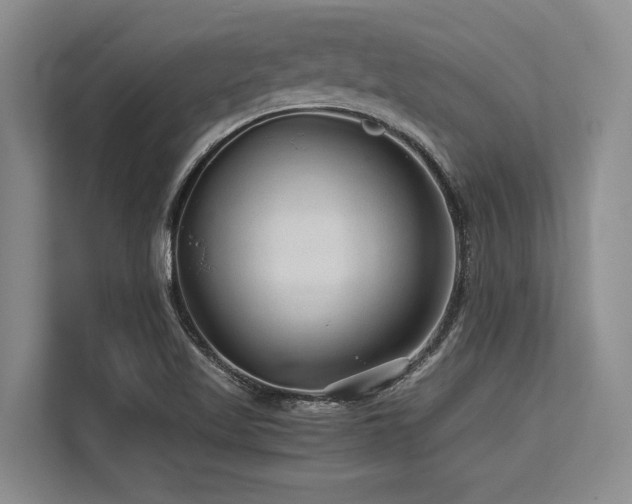 X0000113561509200909181209