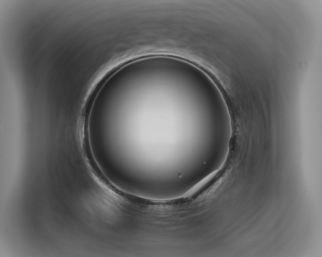 X0000113561511200909181209