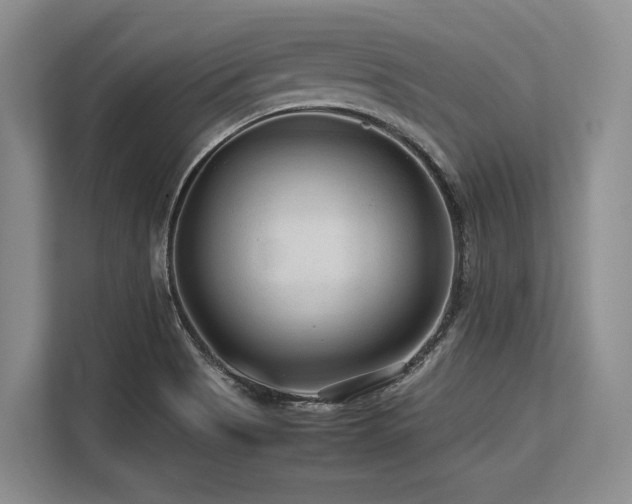 X0000113561513200909181209
