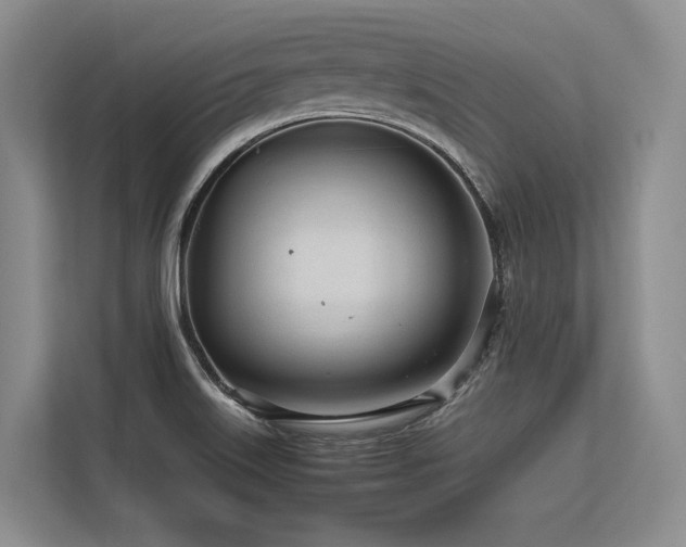 X0000113561515200909181209